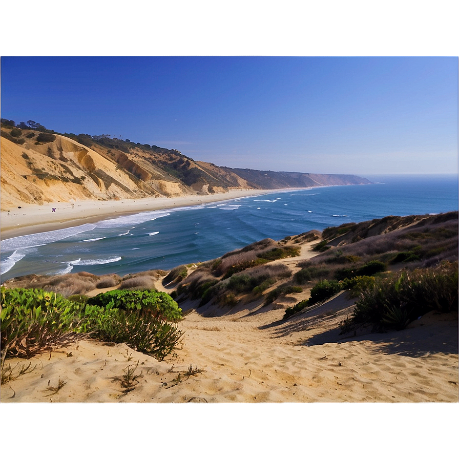 Torrey Pines State Natural Reserve San Diego Png 06252024