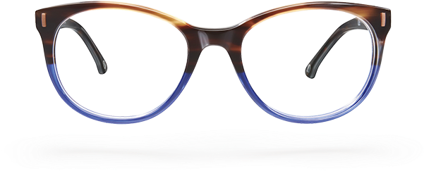 Tortoiseshell Eyeglasses Transparent Background