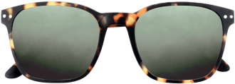 Tortoiseshell Sunglasses Front View