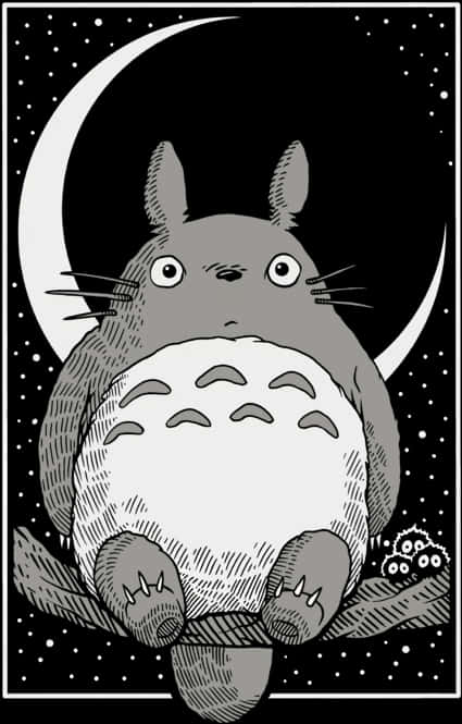 Totoro Moonlight Illustration