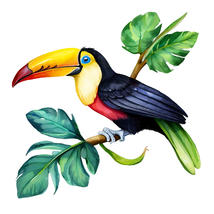 Toucan In Watercolor Png Eat