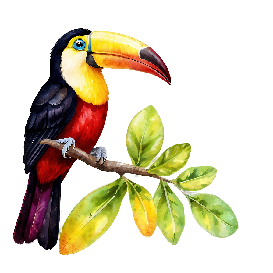 Toucan In Watercolor Png Hkm