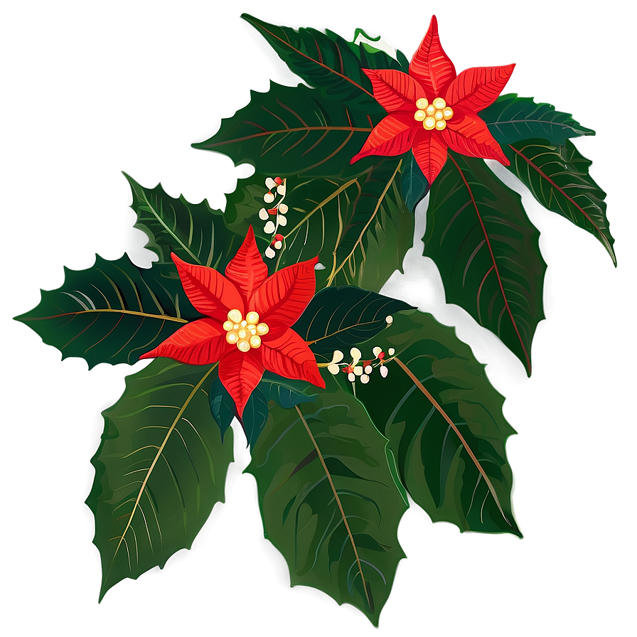 Traditional Christmas Poinsettia Png Qeh