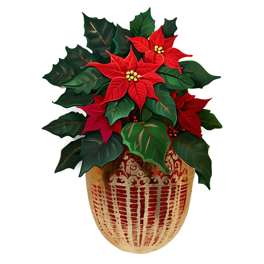 Traditional Christmas Poinsettia Png Vxe