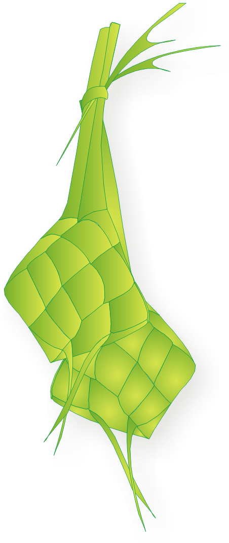 Traditional Ketupat Vector Illustration