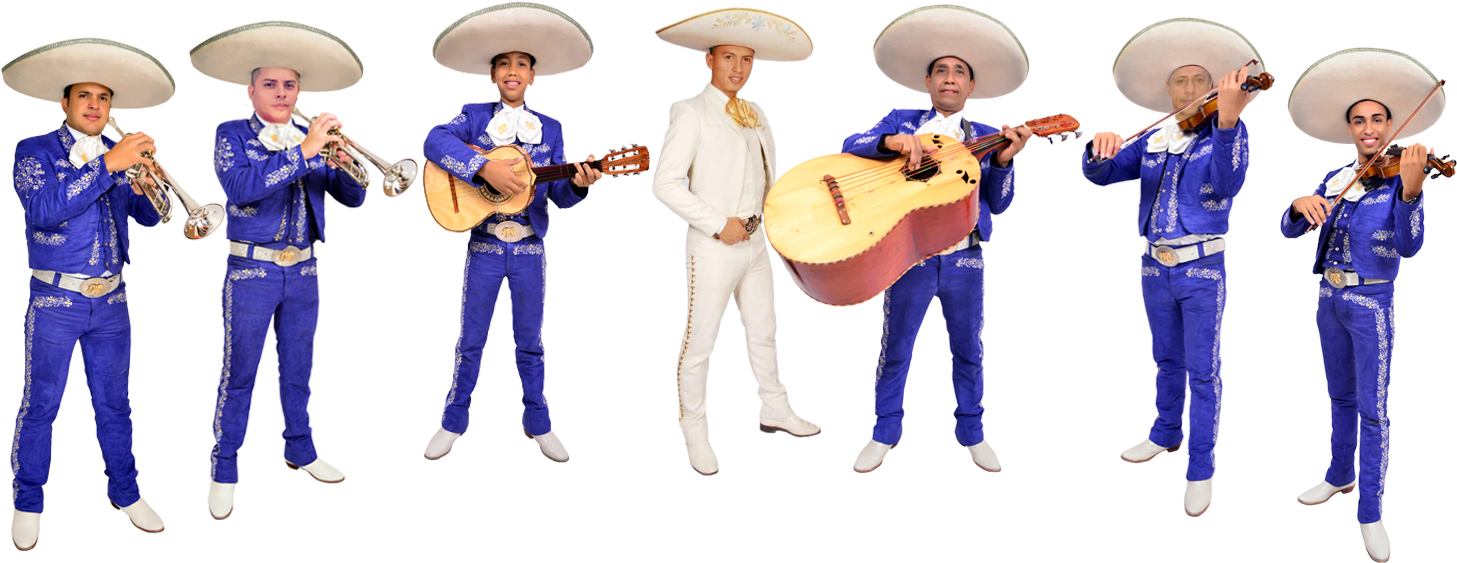 Traditional Mariachi Band Performance