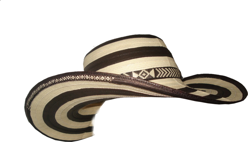 Traditional Mariachi Sombrero