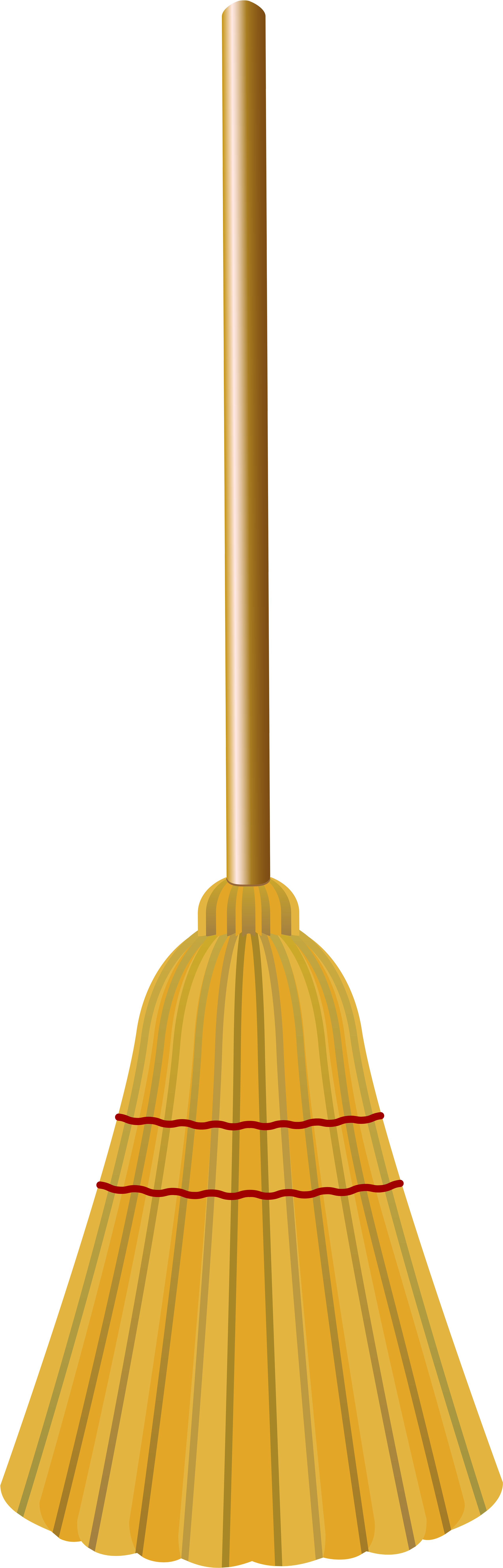 Traditional Yellow Broom Illustration