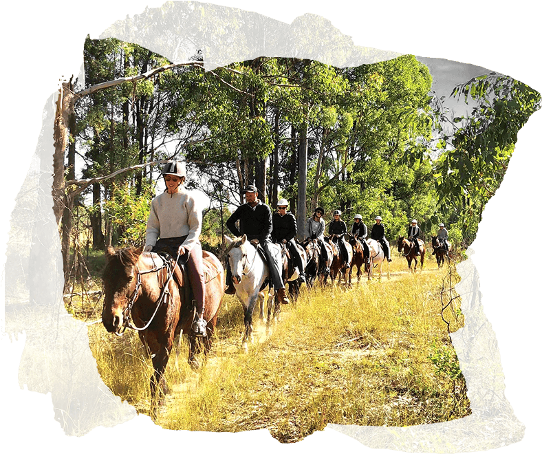 Trail Ride Procession Equestrian Adventure.jpg