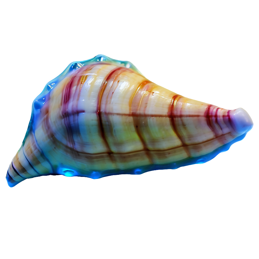 Transparent Background Conch Shell Png Slj75