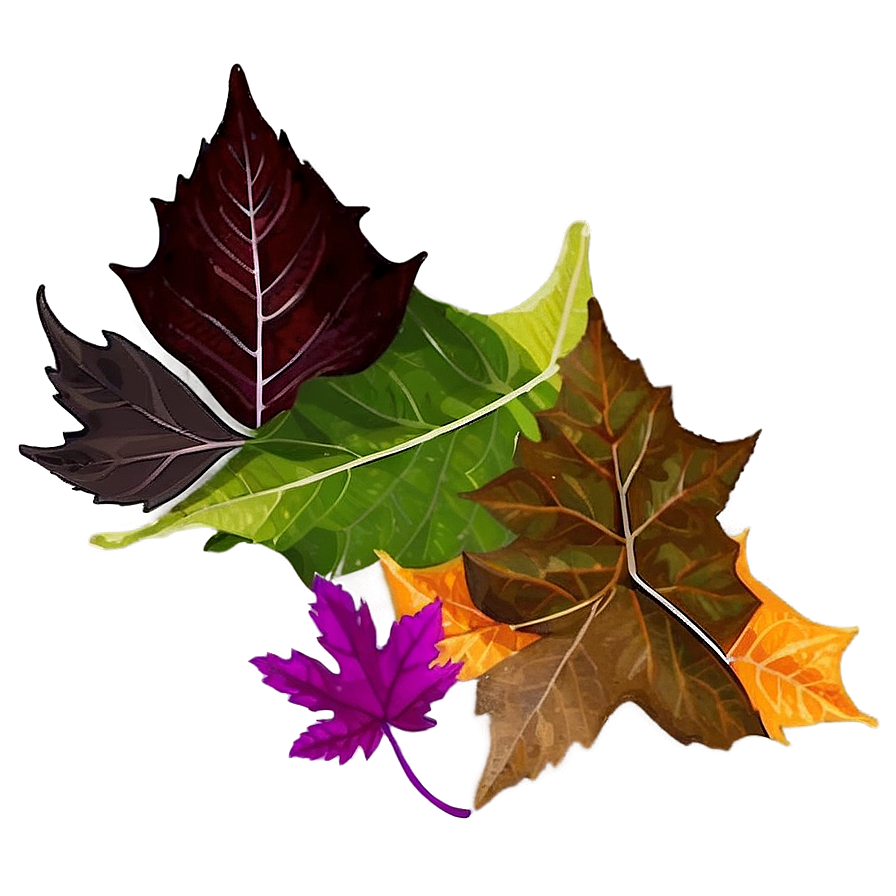 Transparent Background Leaf Pile Png 95