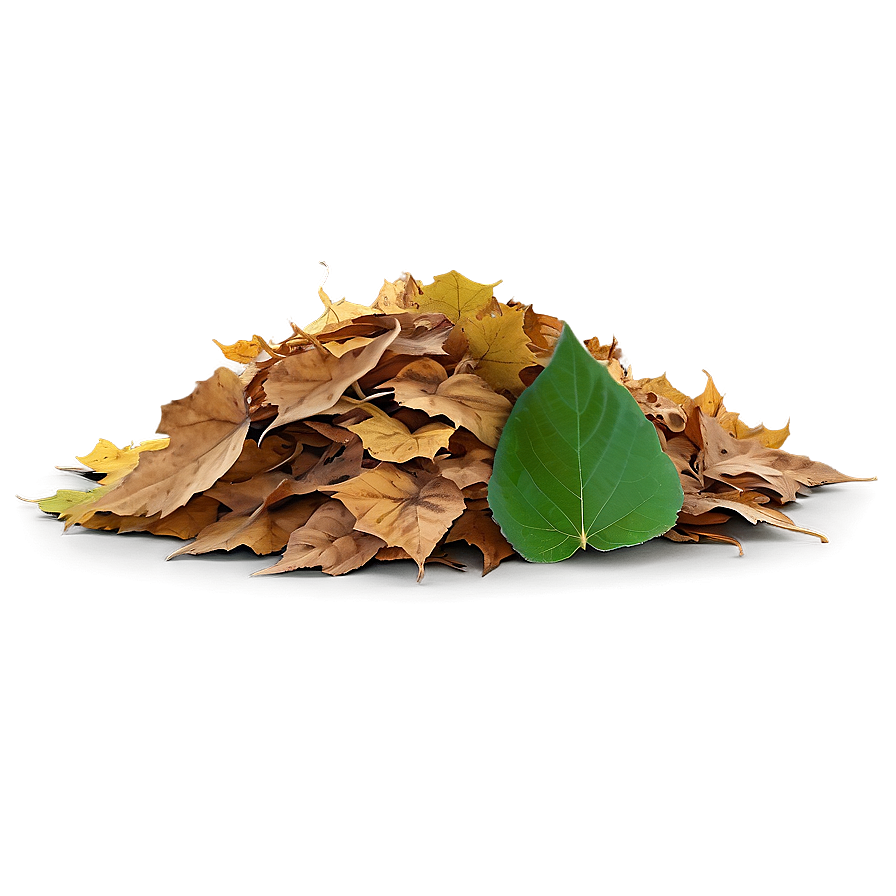 Transparent Background Leaf Pile Png Mno94