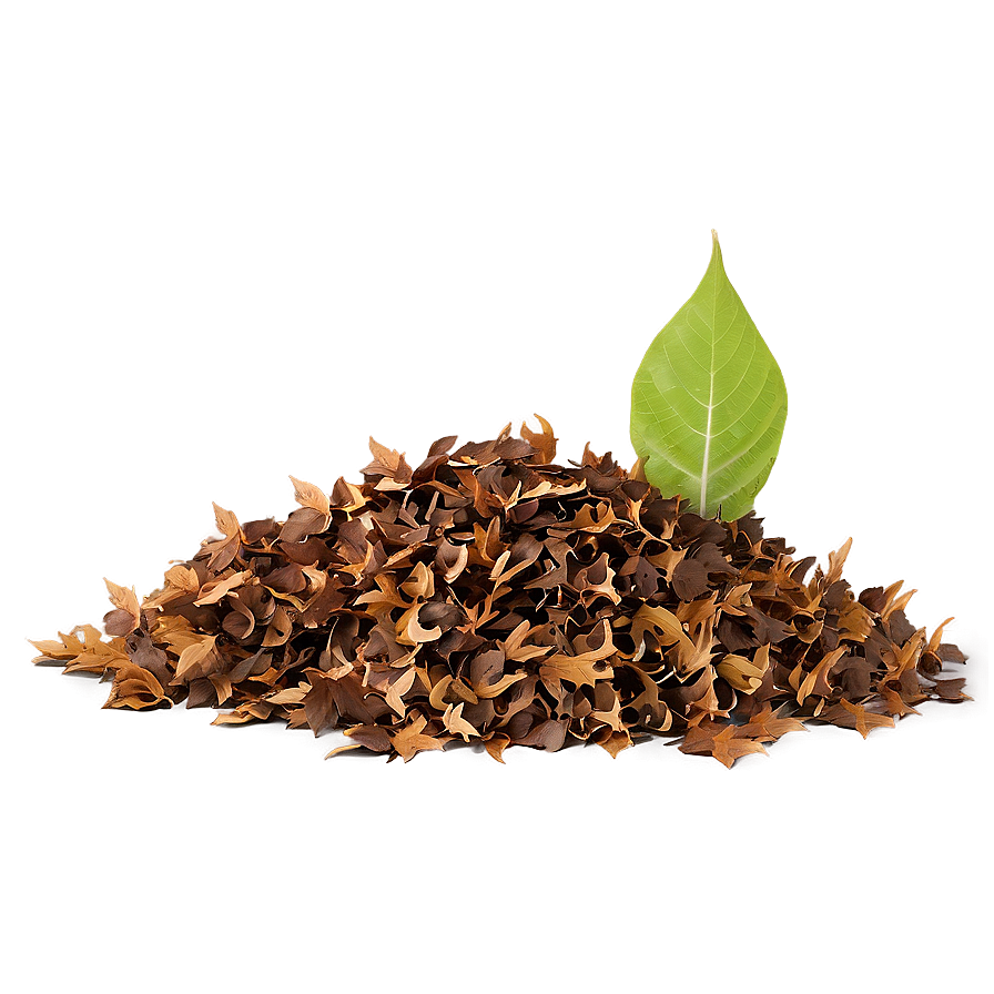 Transparent Background Leaf Pile Png Shv