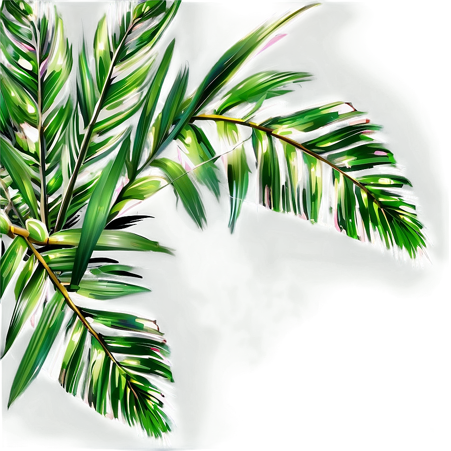 Transparent Background Palm Leaves Png 96