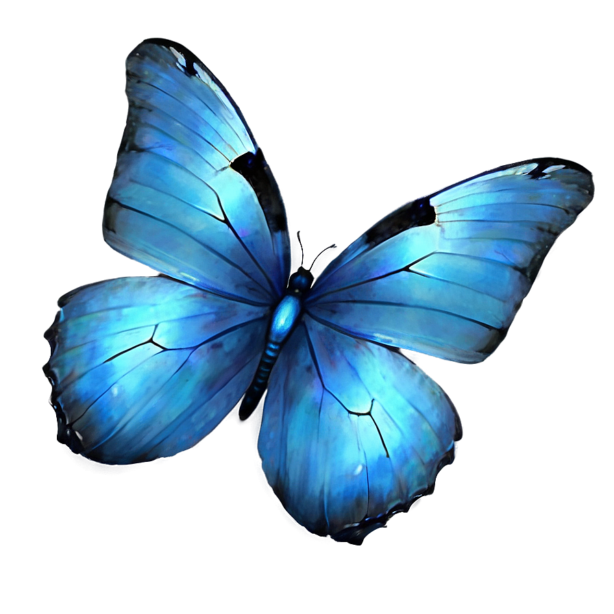 Transparent Blue Butterflies Png Nmx74