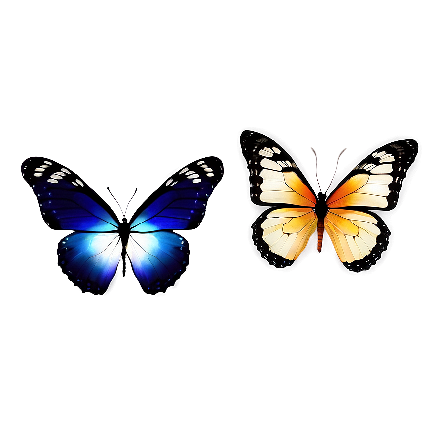 Transparent Butterflies Png Myc