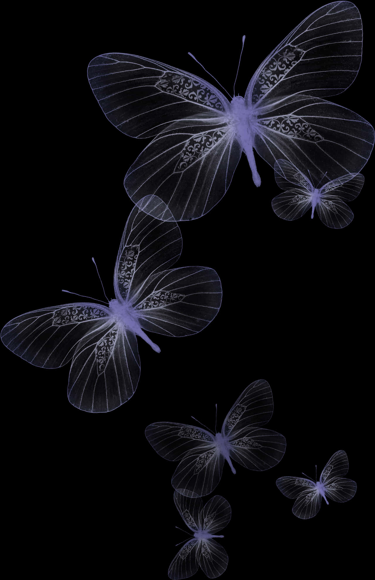 Transparent Butterflieson Black Background