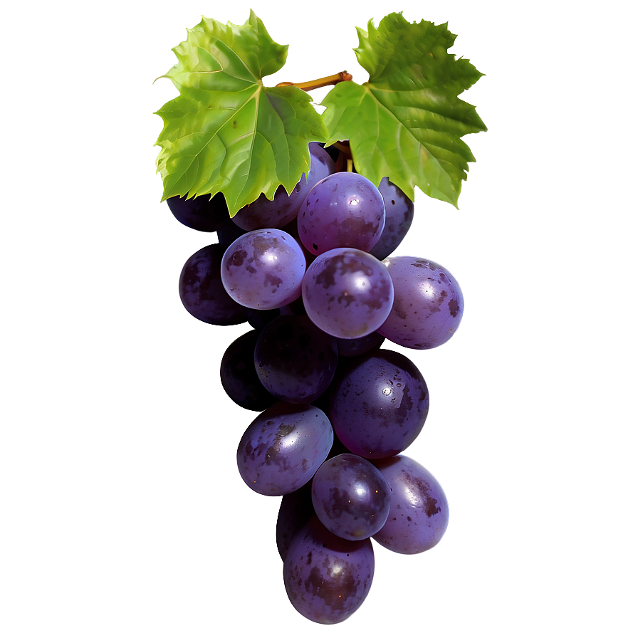 Transparent Grape Png 90