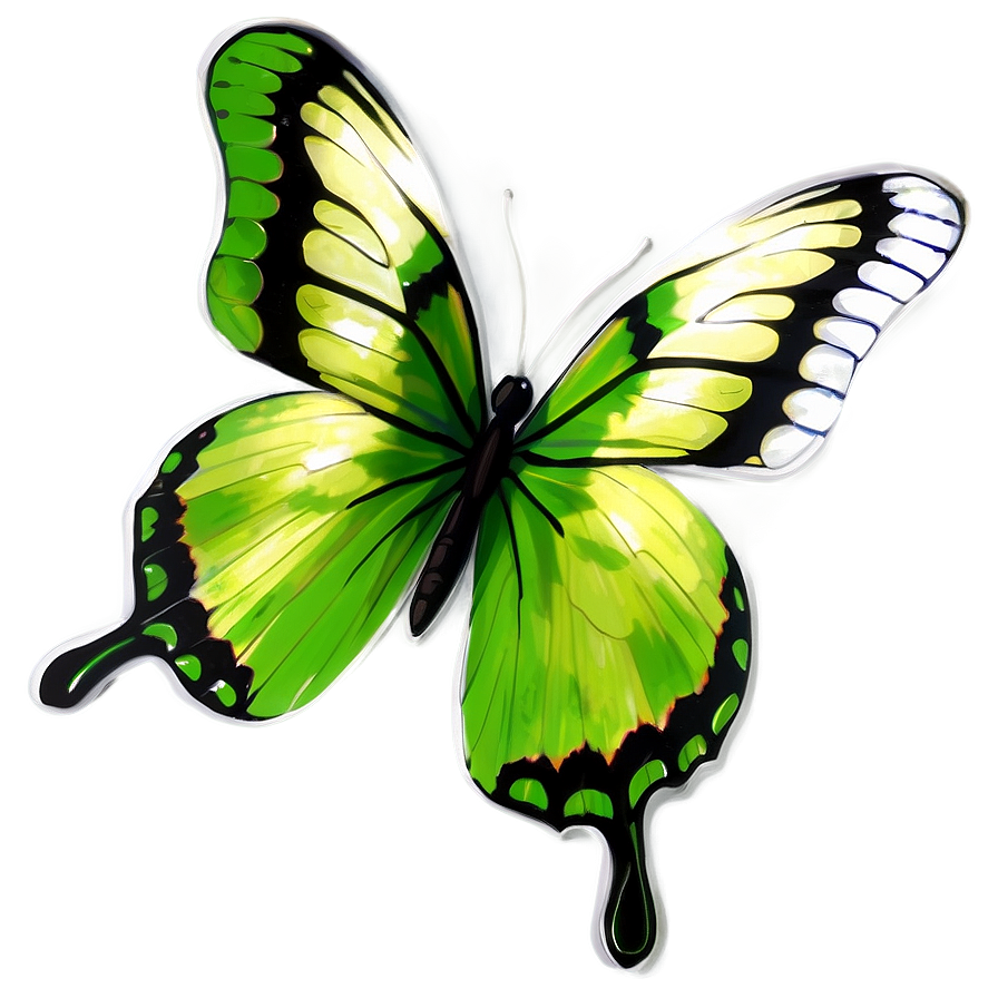 Transparent Green Butterfly Drawing Png Odg