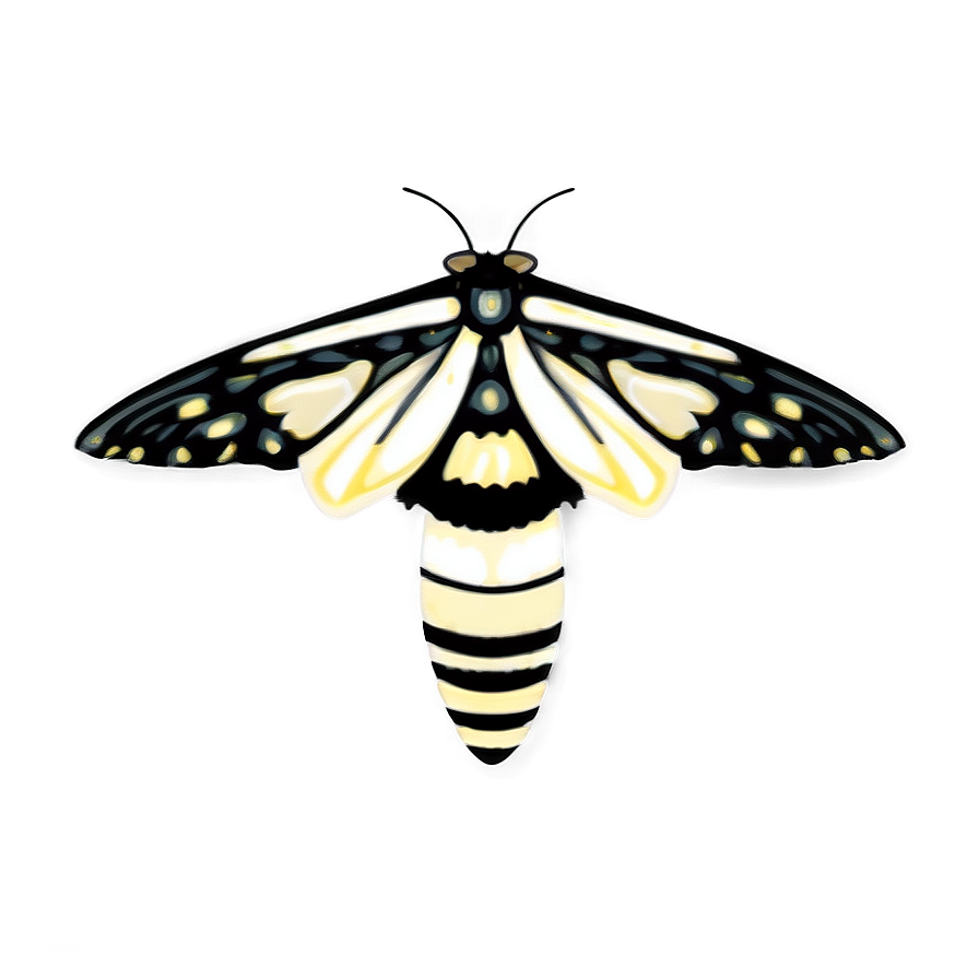 Transparent Moth Png 05242024