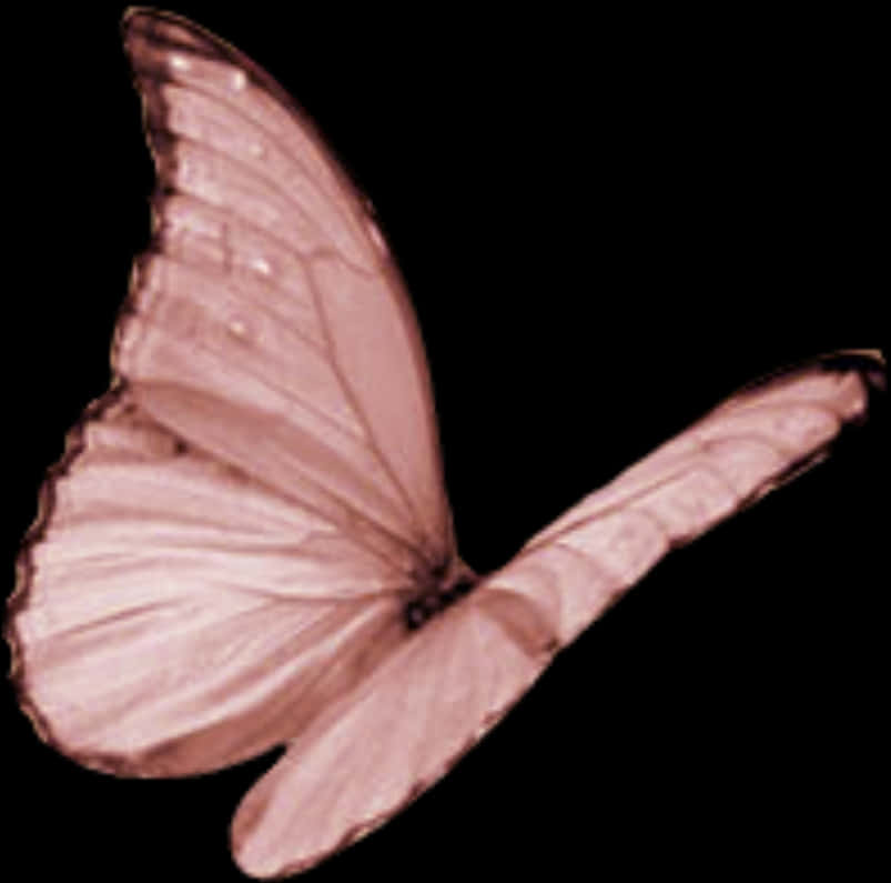 Transparent Pink Butterfly