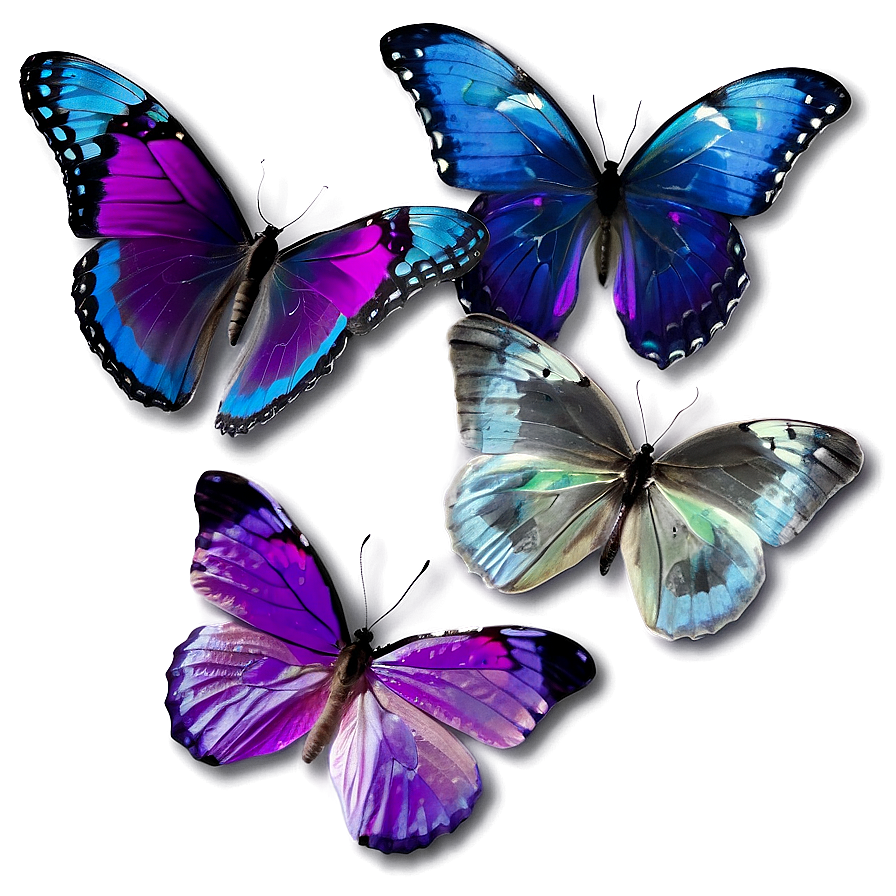Transparent Purple Butterfly Png 26
