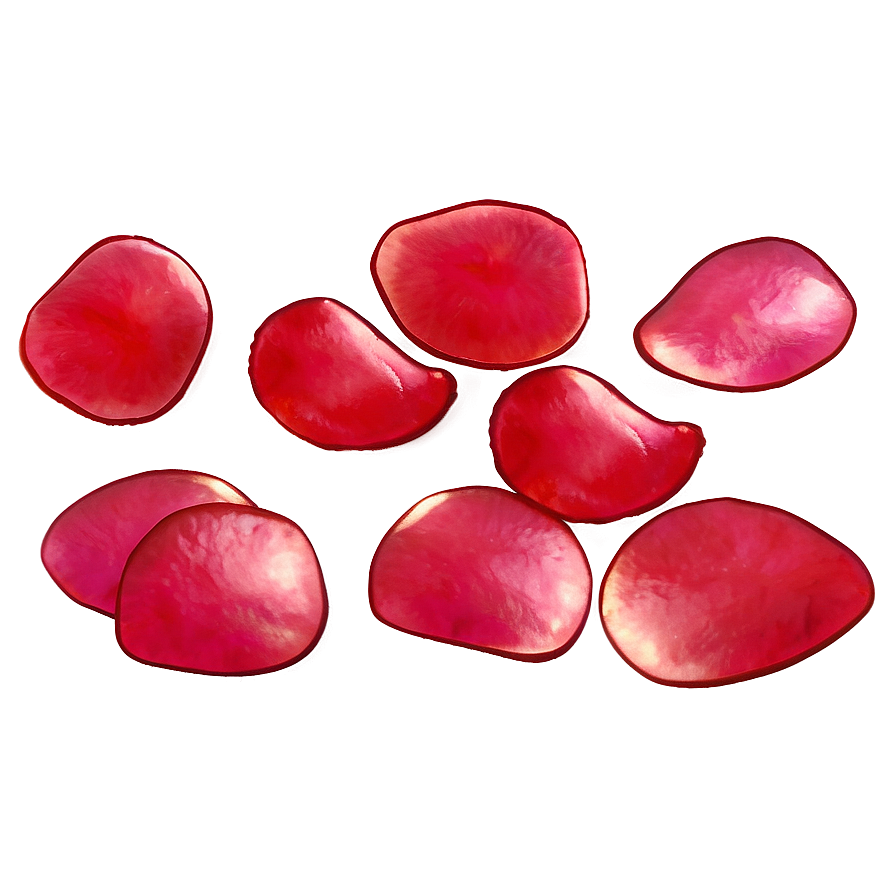 Transparent Rose Petals Png Wct87