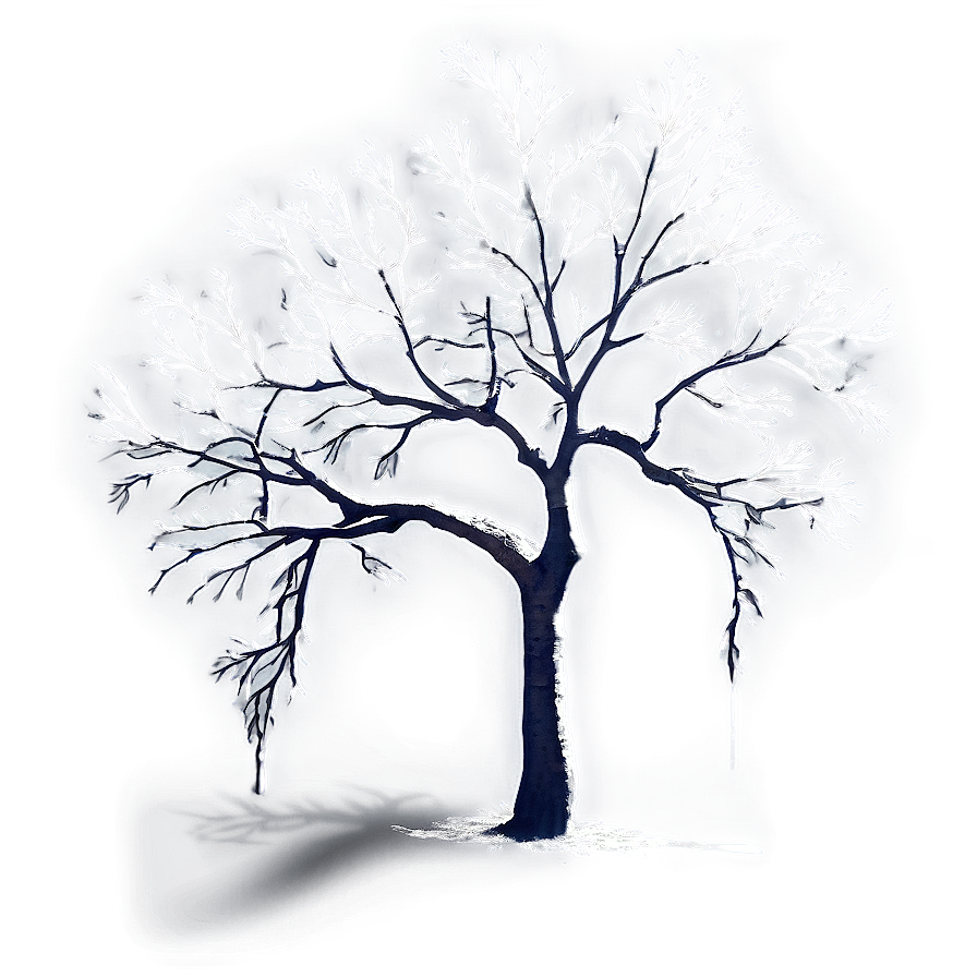Tree Branches In Fog Png Ops