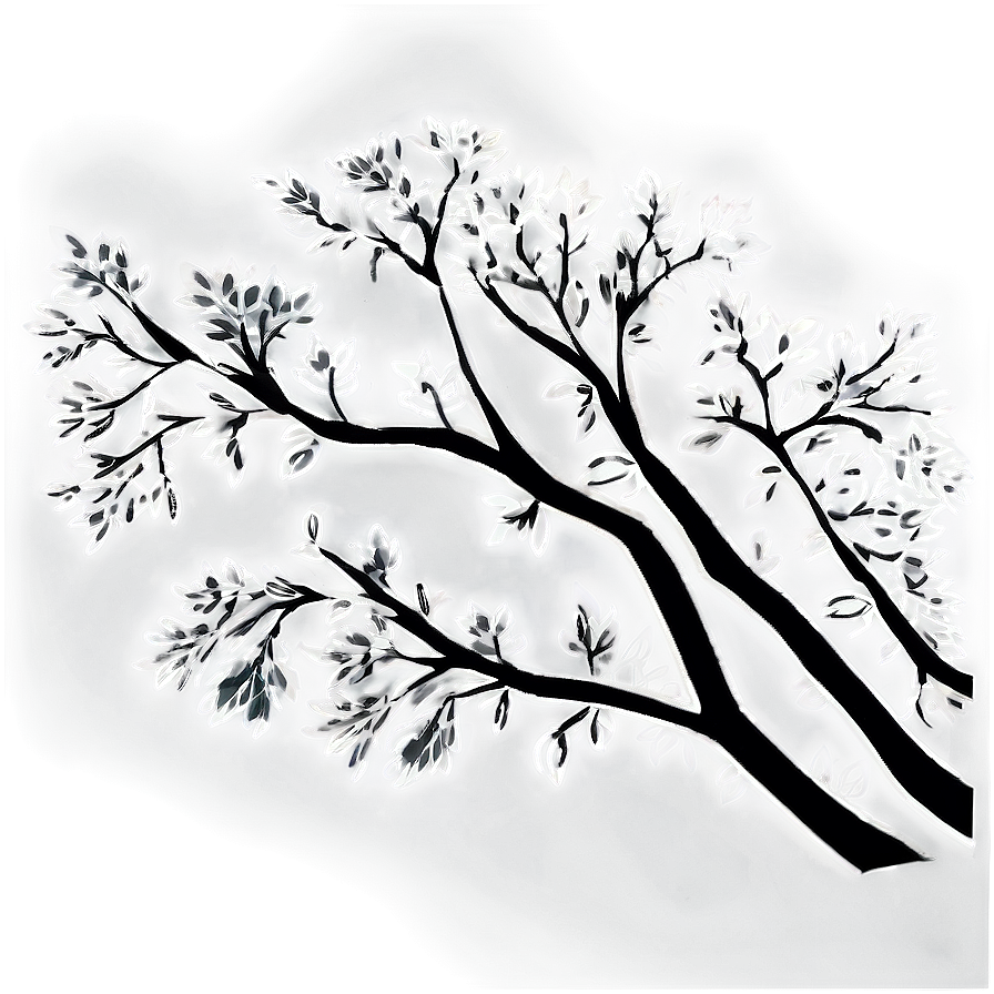 Tree Branches Silhouette Png 06282024