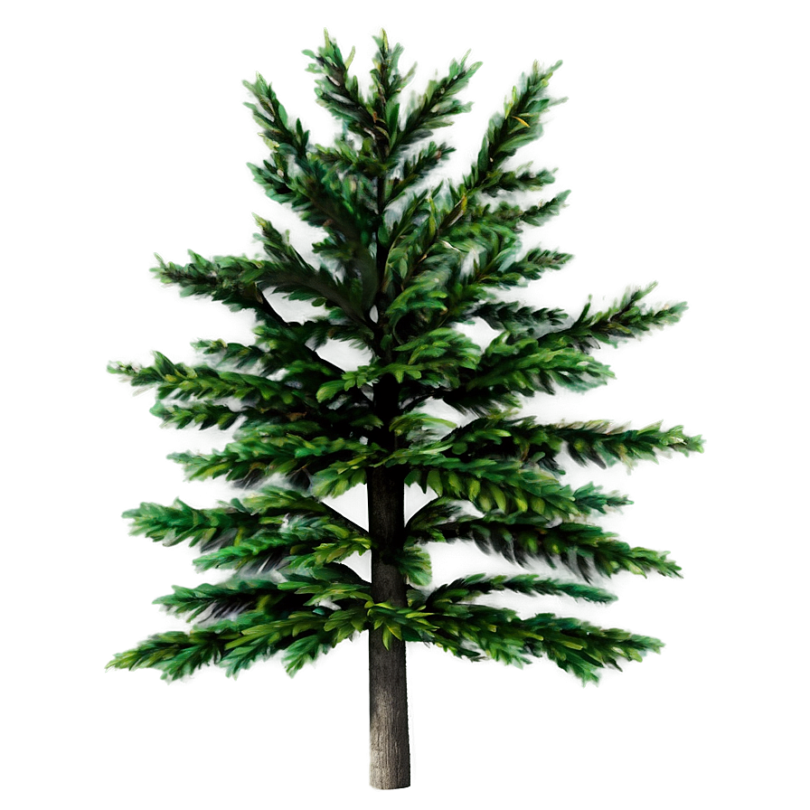 Tree Elevation Png 06262024