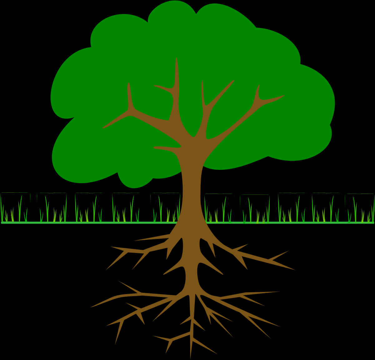 Tree_with_ Exposed_ Roots_ Vector
