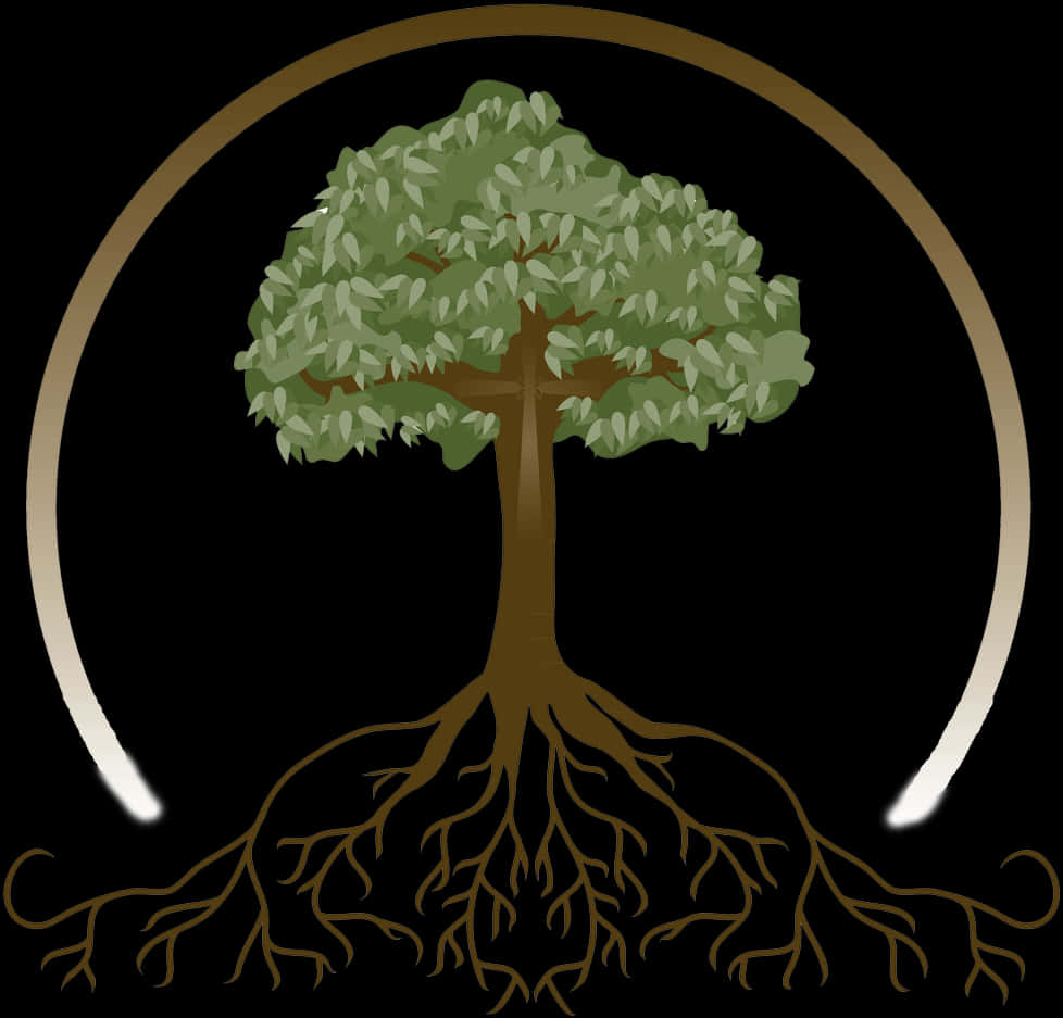 Tree_with_ Extensive_ Roots_ Vector