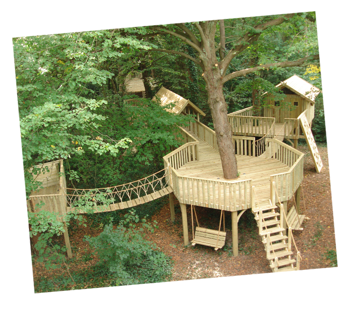 Treehouse Playgroundin Forest
