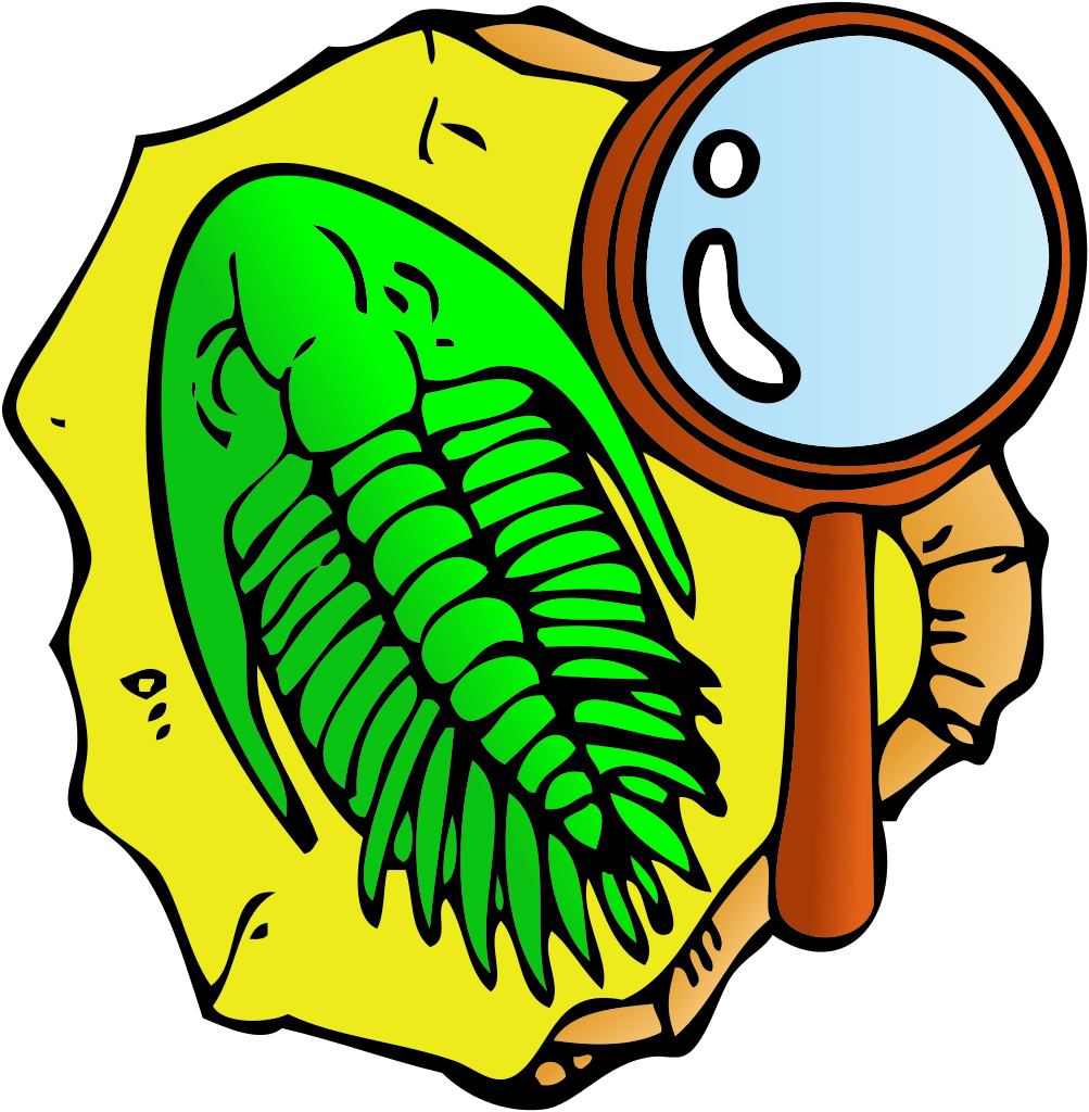 Trilobite Fossil Examination Cartoon