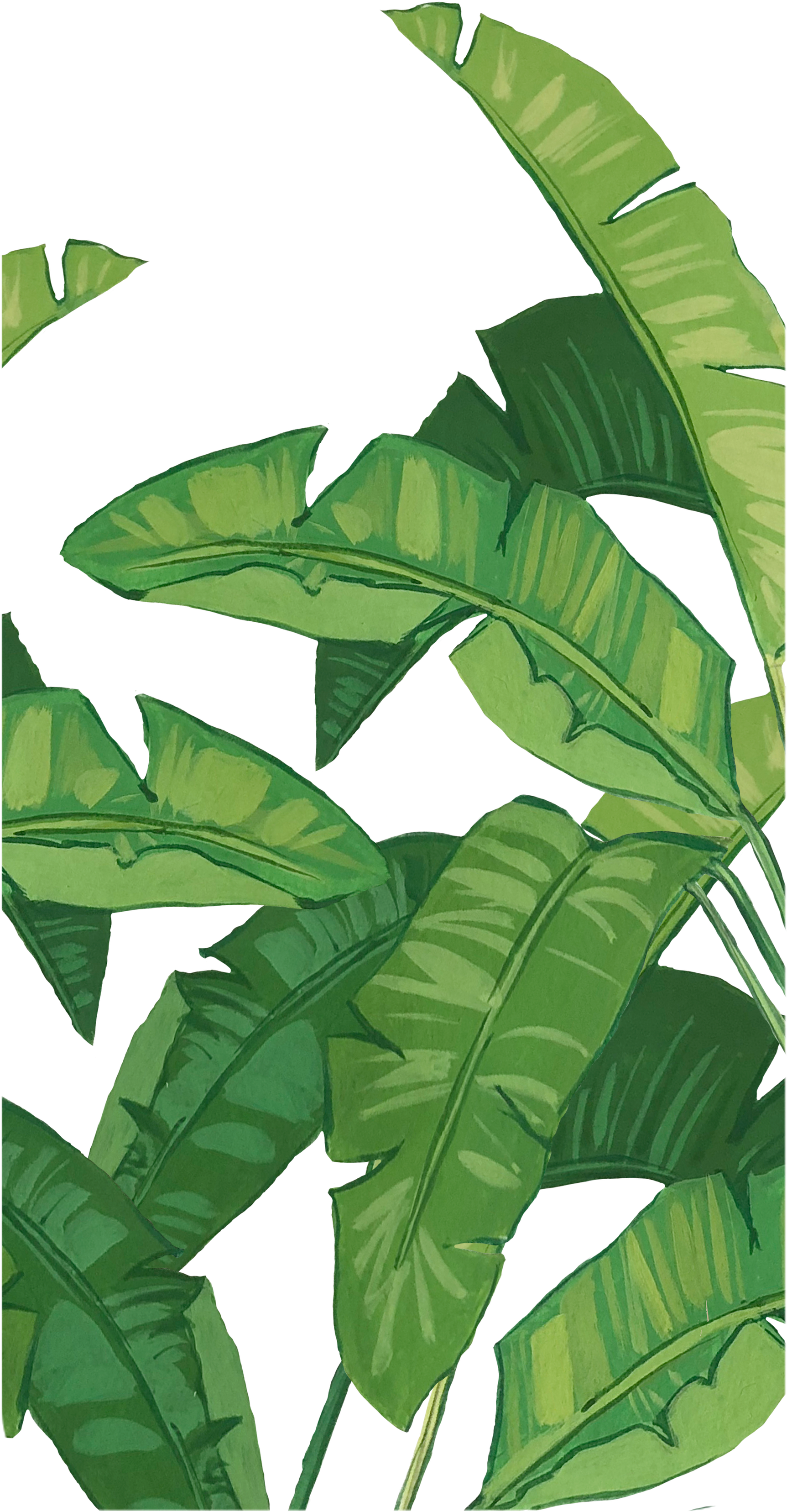 Tropical Banana Leaves Artistic Background