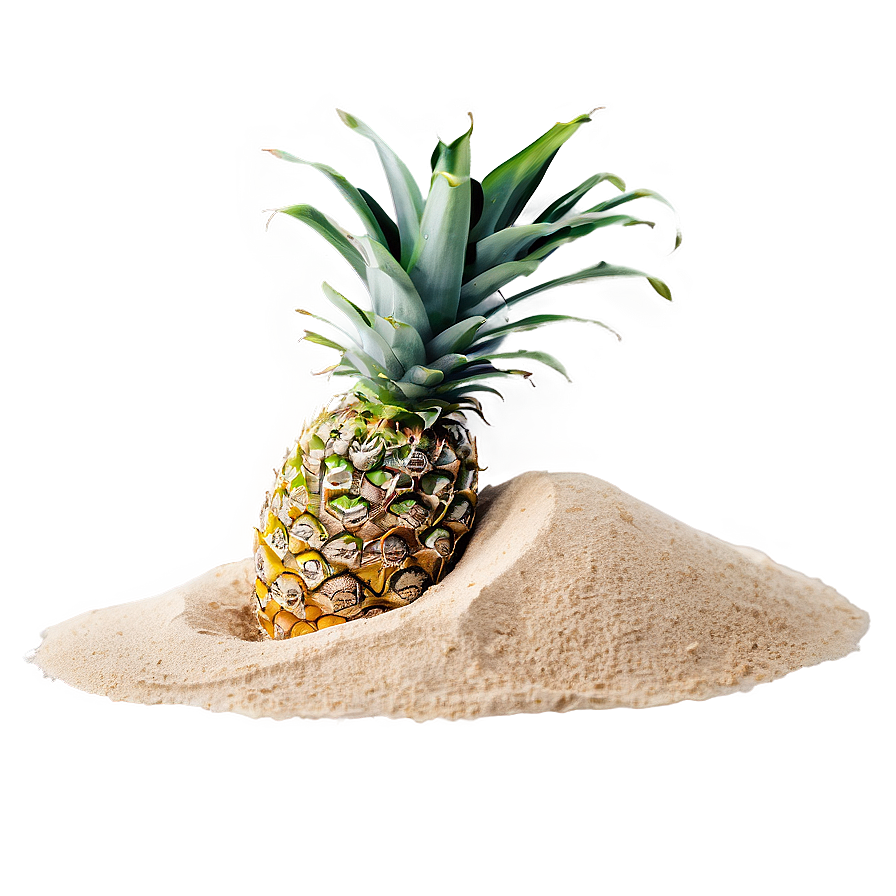 Tropical Beach Sand Png 45