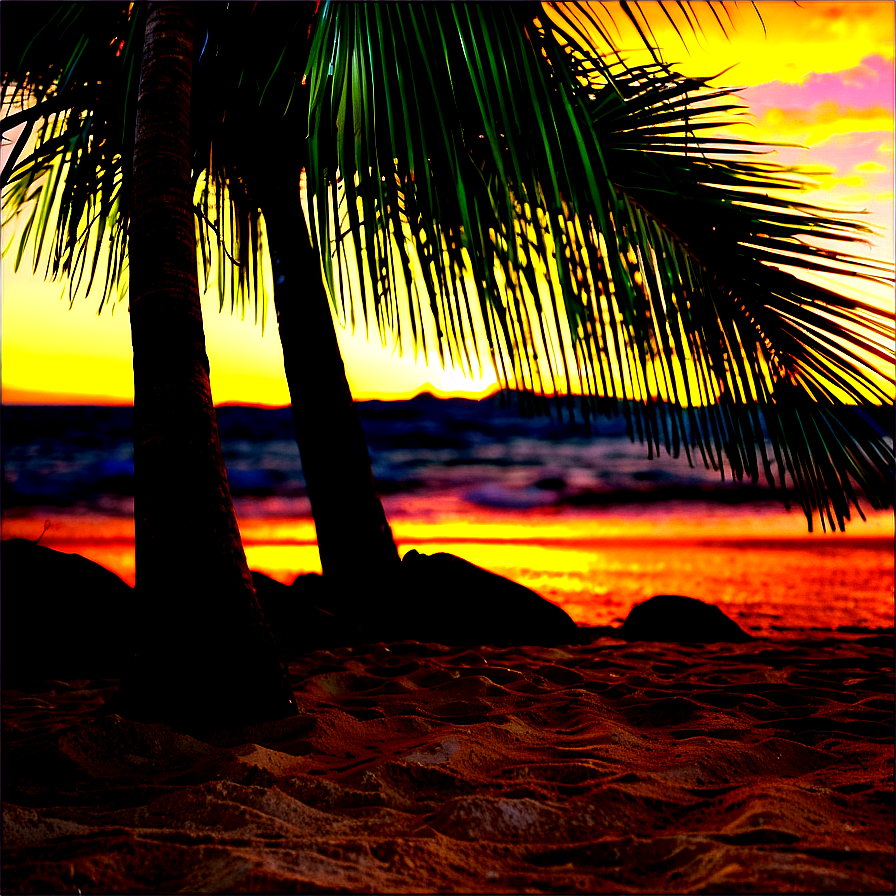 Tropical Beach Sunset Png Bas