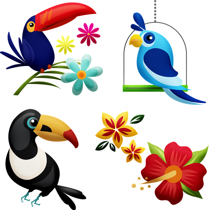 Tropical_ Birds_and_ Flowers_ Illustration