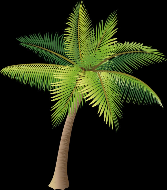 Tropical Coconut Tree Illustration