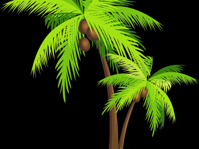 Tropical Coconut Trees Illustration