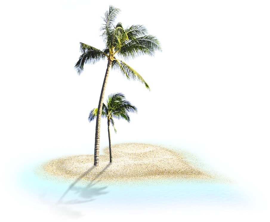Tropical Coconut Treeson Island