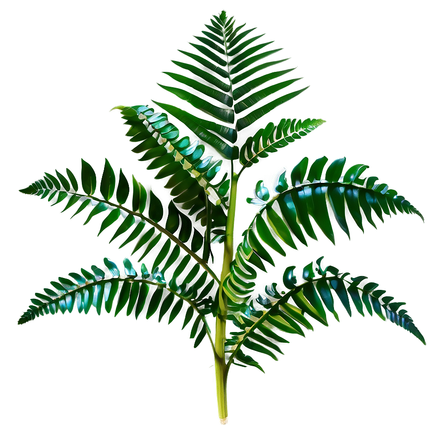 Tropical Fern Plant Png Eon18