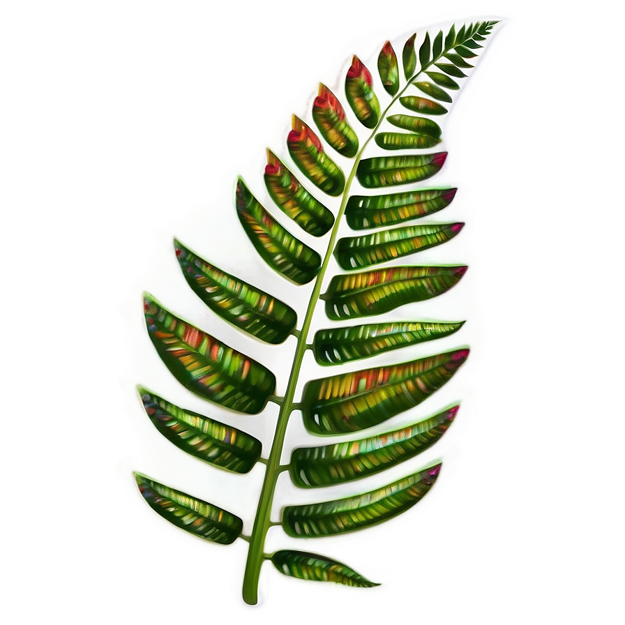 Tropical Ferns Png Ptw