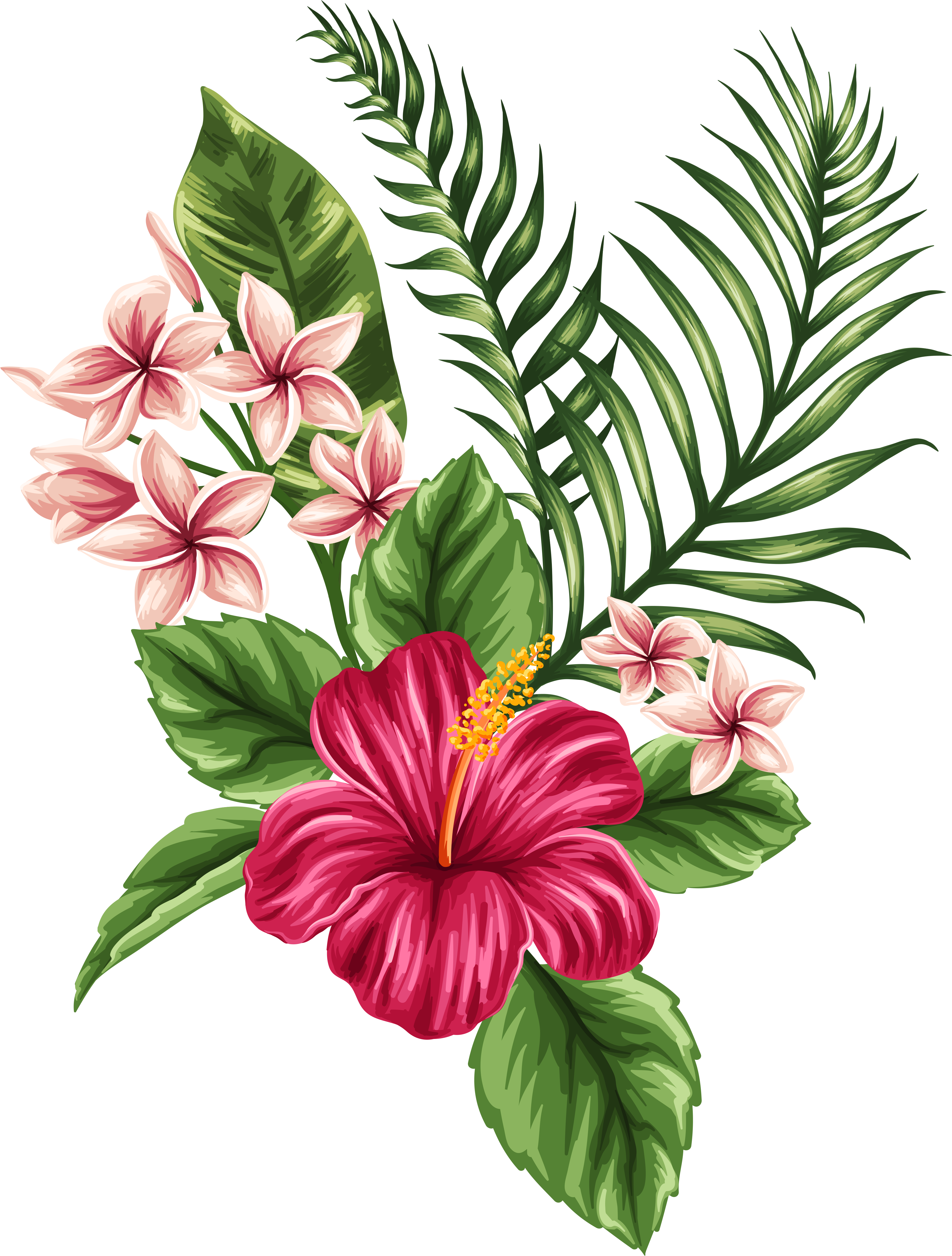 Tropical Flowers Illustration