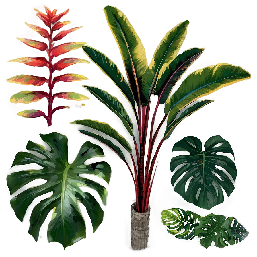 Tropical Foliage Plants Png 77