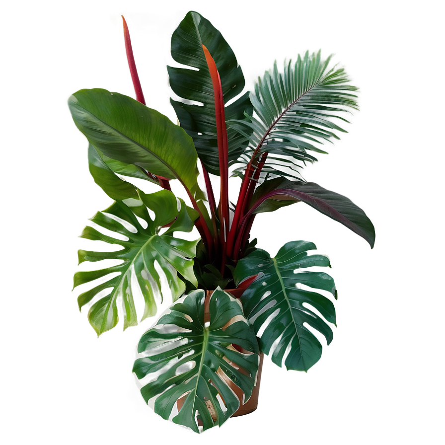 Tropical Foliage Plants Png Jfj