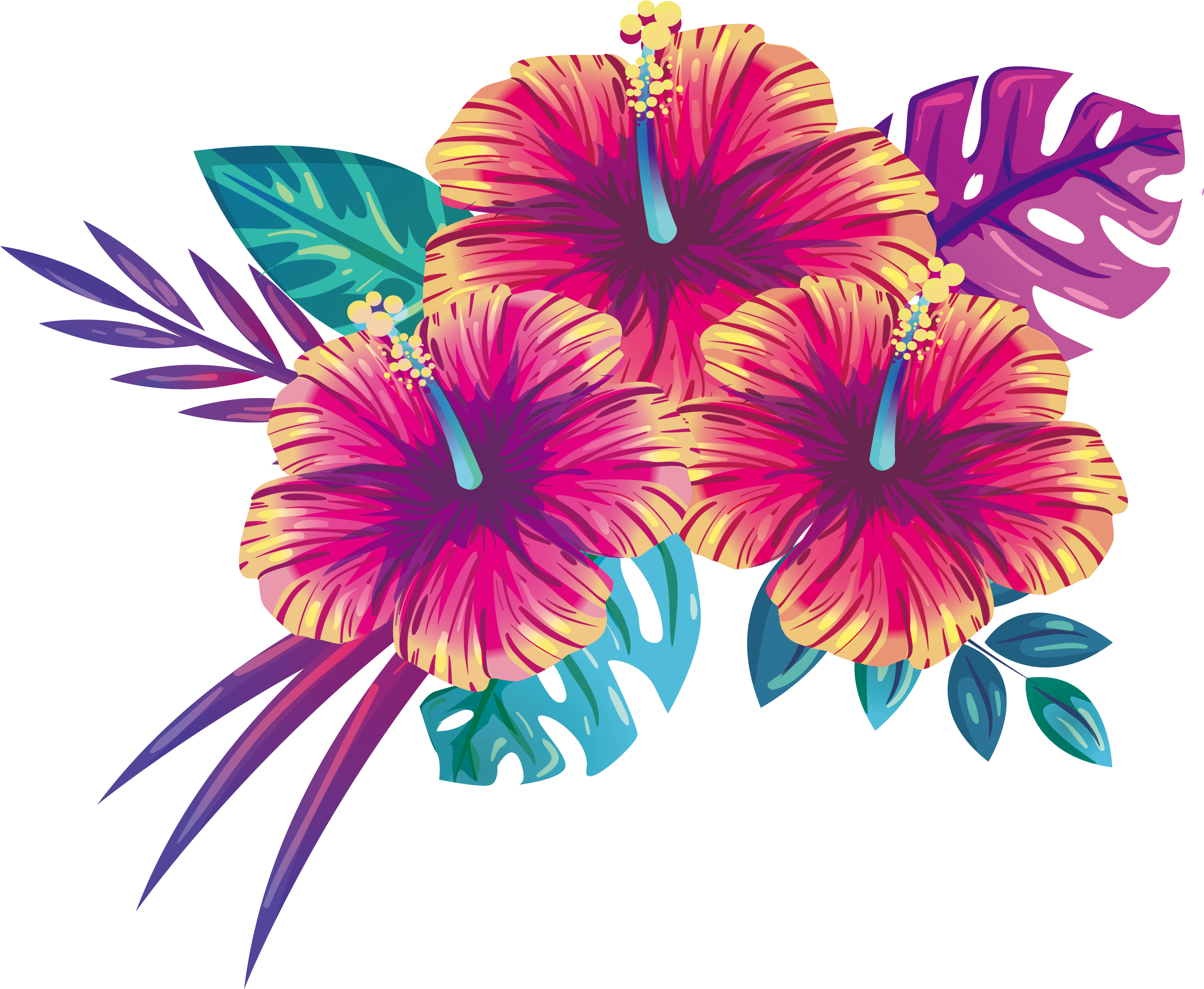 Tropical Hibiscus Floral Illustration