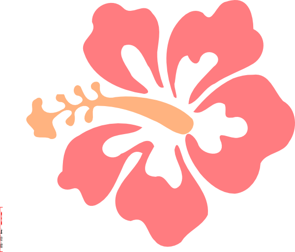 Tropical Hibiscus Flower Illustration