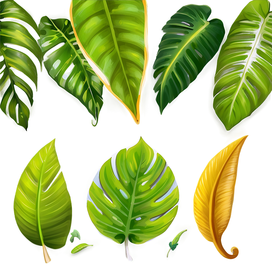 Tropical Leaf C