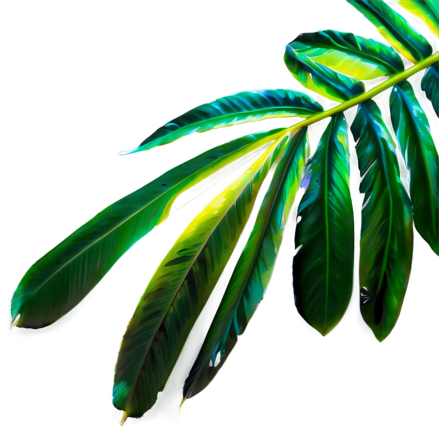 Tropical Leaf Collection Png Gkl64